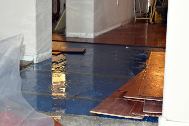 Professional Basement Flood Cleanup technician working in Highland, KS